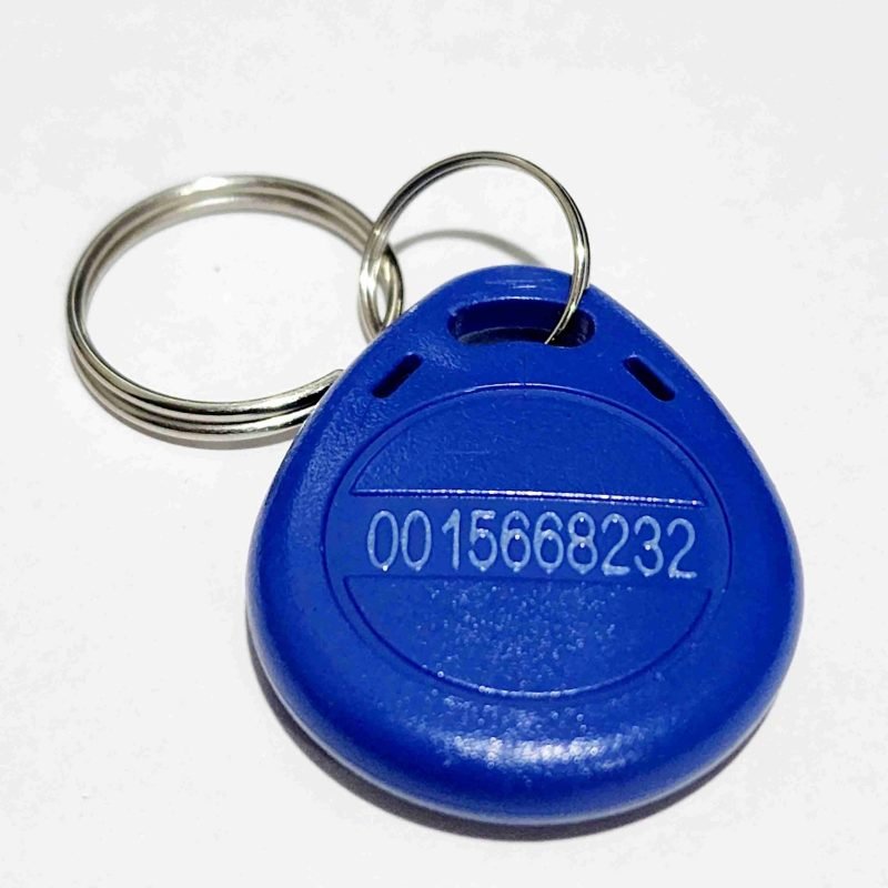 125 KHz RFID Key Chain Tag